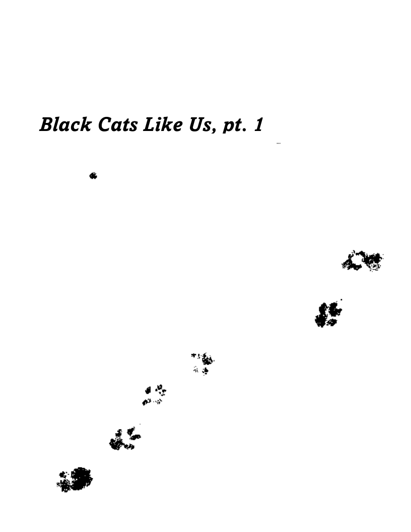 Black Cats Like Us, pt. 1

"hfs,
te

t

at
